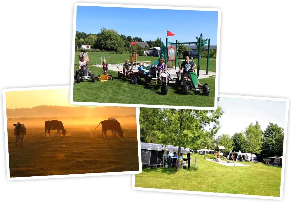 Camping Drenthe De Stal